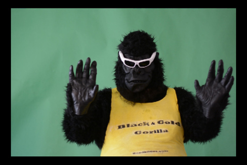 Product picture In Pittsburgh, Penguins Can Fly